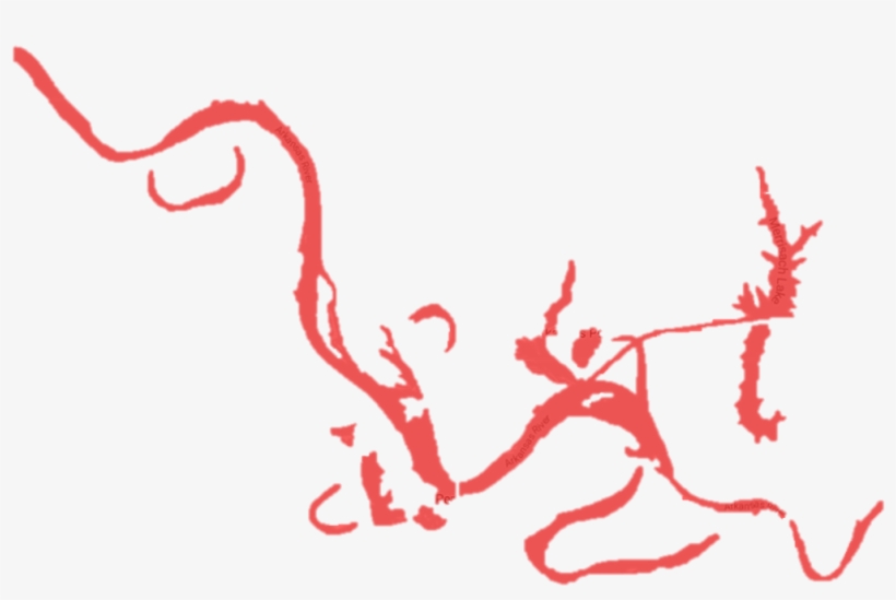 Dumas Outline - Dumas, transparent png