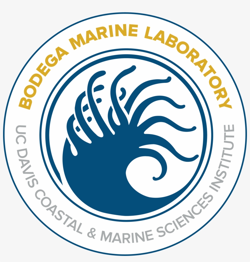 Png, 2593 X 2594 Px, 300 Ppi Bml Logo - Bodega Marine Lab Logo, transparent png