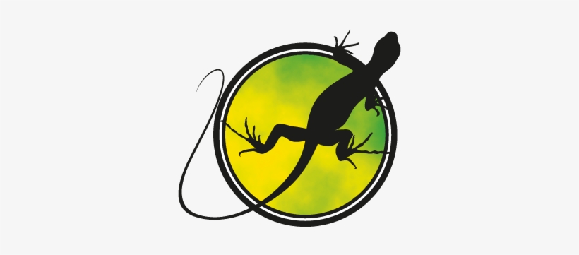 Iguana Icono Png, transparent png