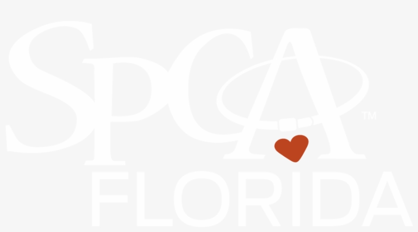 Here Are Spca Florida-approved Logos - You Found A Cat, transparent png