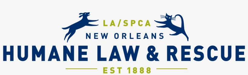 Aruba Networks, transparent png