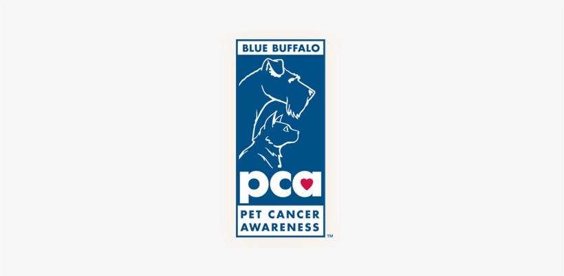 Petco Foundation And Blue Buffalo Foundation Surpass - Pet Cancer Awareness Month 2017, transparent png