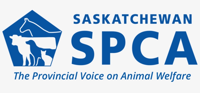 Animal Abuse Against Societies, transparent png