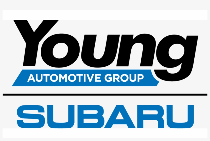 More Than 150 Dogs And Cats Were Adopted Out During - Genuine Subaru E551sal200 Bumper Underguard, Rear, transparent png