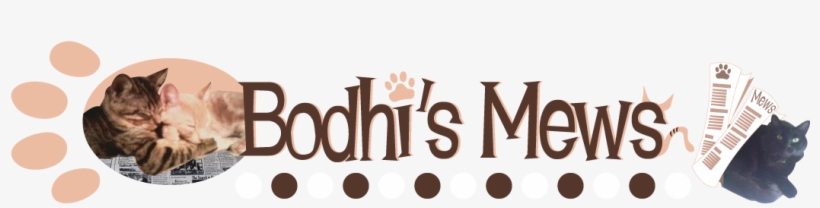 Bodhi's Mews - Dance, transparent png