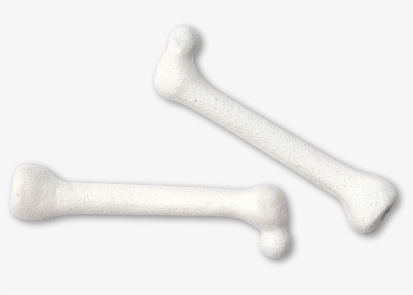 So Vitamin D Works Hand In Hand With Other Nutrients - Phosphorus Bones, transparent png
