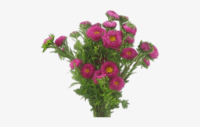 Aster Bouquet - Flower Bouquet, transparent png