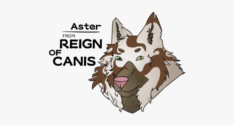 Aster From Reign Of Canis By Mästerpiece - Aster, transparent png
