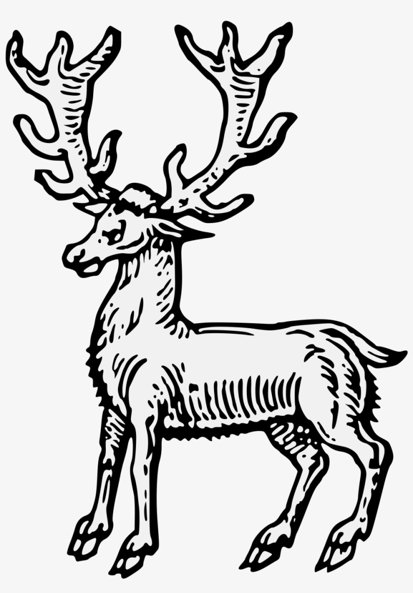Details, Png - Art, transparent png
