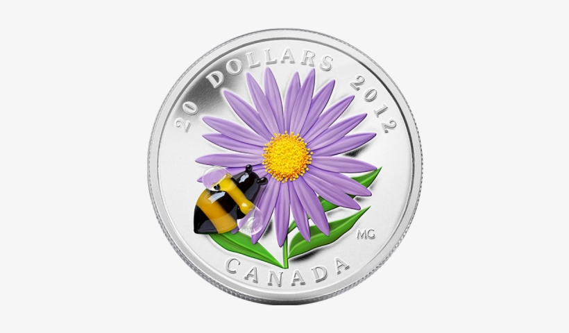 Aster With Venetian Glass Bumble Bee 2012 Proof Silver - 2013 Fine Silver 20 Dollar Coin - Purple Coneflower, transparent png