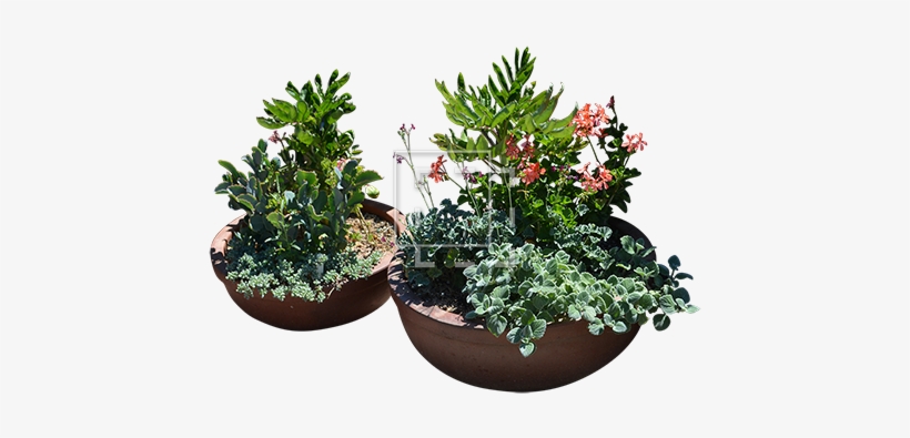 Parent Category - Ceramic, transparent png