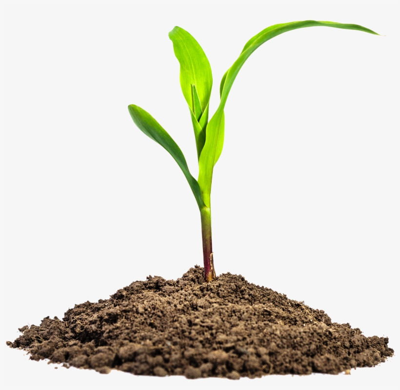 Microbial Products - Alpine Fertilizer, transparent png