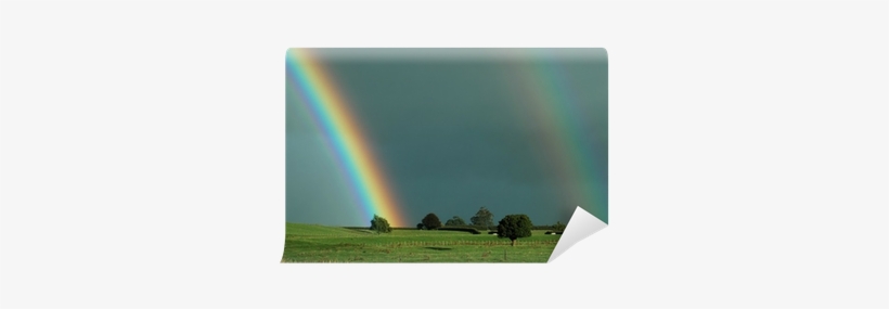 Phénomènes Naturels, transparent png