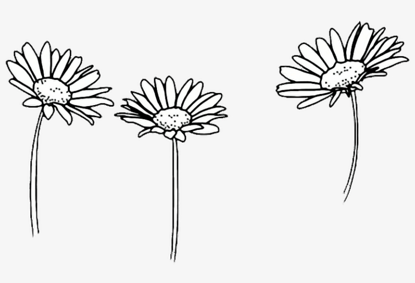 Drawing Outline Sunflowers Flower Tumblr - Flower Png, transparent png