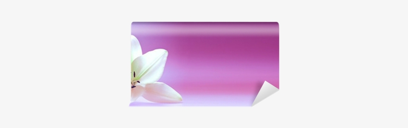 Artificial Flower, transparent png
