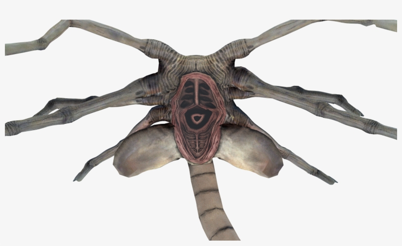 Facehugger By Dustin Dover Dovers, My Arts - Art, transparent png