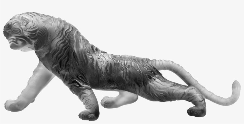 Tigre Du Bengale Magnum Gris 88 Exemplaires 03447-4, transparent png