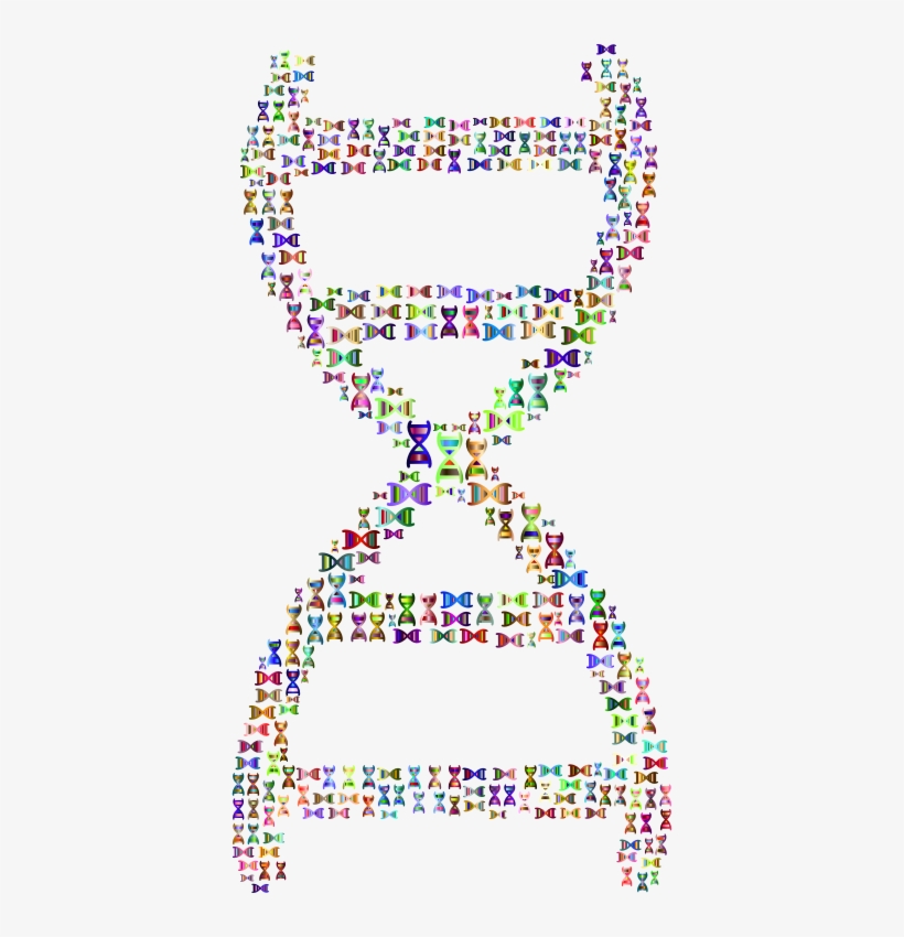 The Double Helix - Dna Image No Background, transparent png