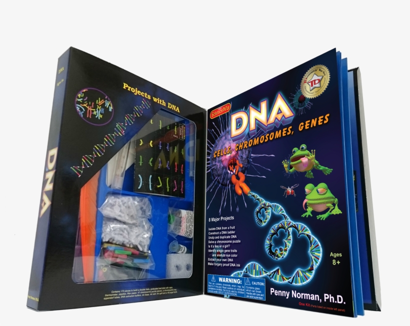 Dna, transparent png