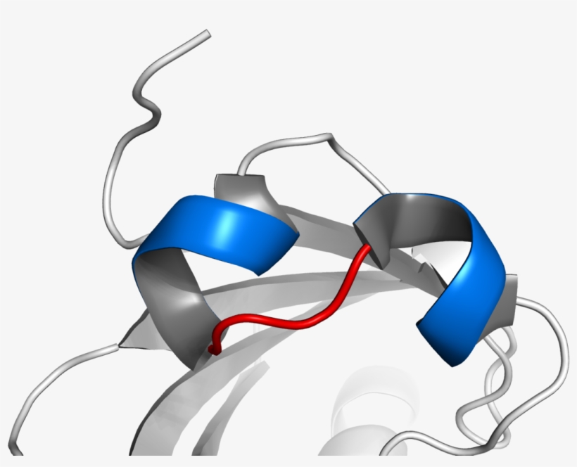 Hélice Volta Hélice, transparent png