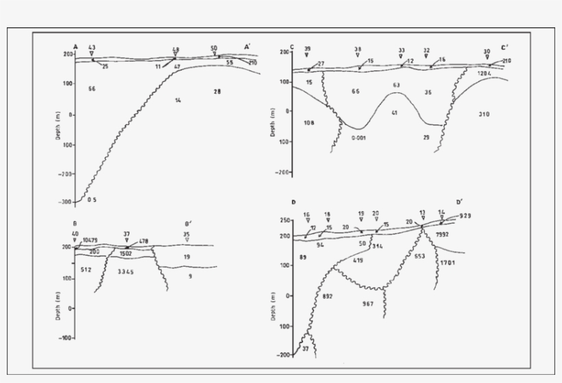Electro-stratigrasphic Section Of Aa', Bb', Cc', And - Ohm, transparent png