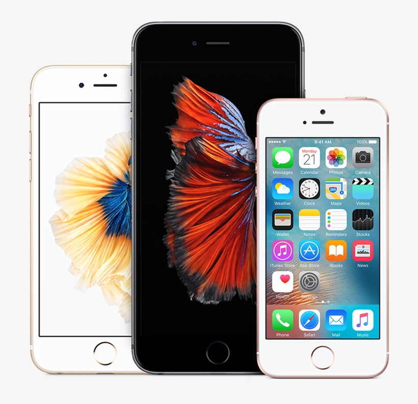 Iphone Express Replacement Service - Iphone Se Price In India 16gb, transparent png