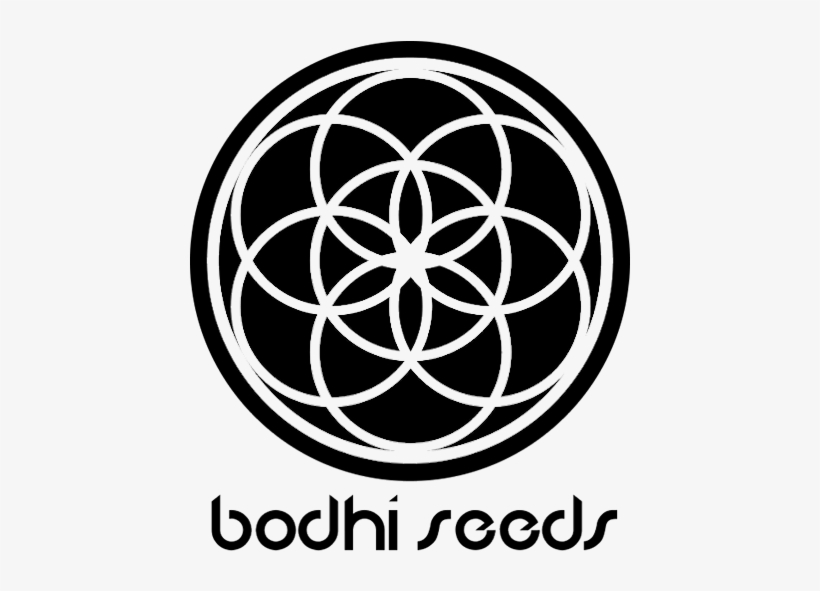 Bodhi Terpenado - Seed Of Life Jpeg, transparent png