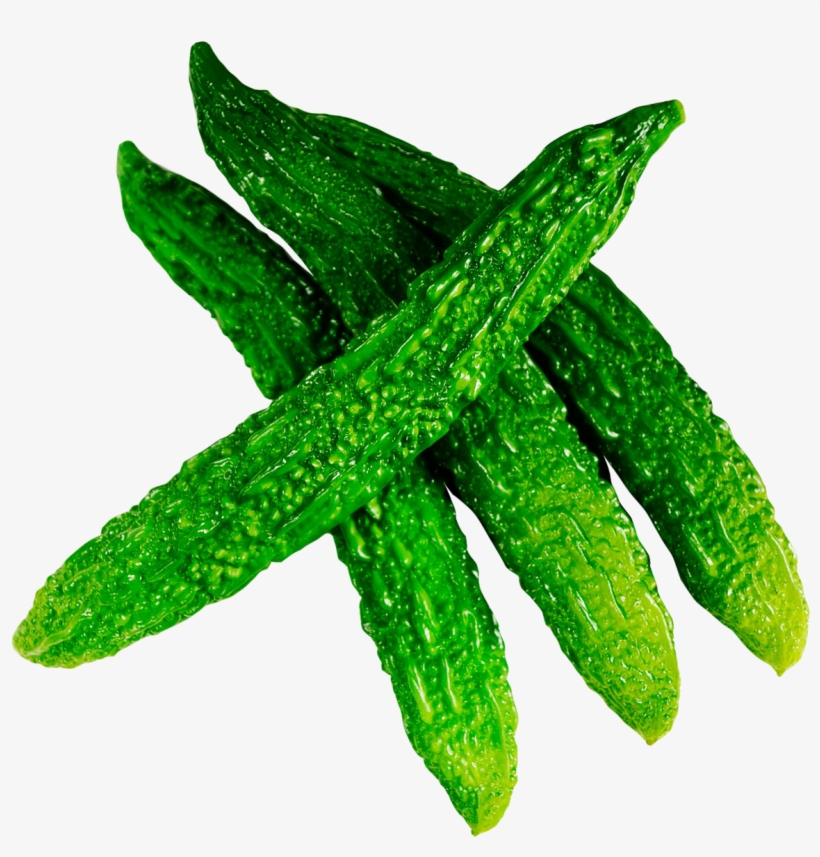 Fresh Bitter Gourd Png Image - Bitter Gourd Images Png, transparent png