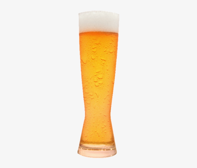 Festbier - Beer Glass, transparent png
