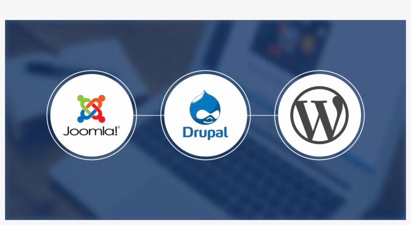 Web Design, transparent png