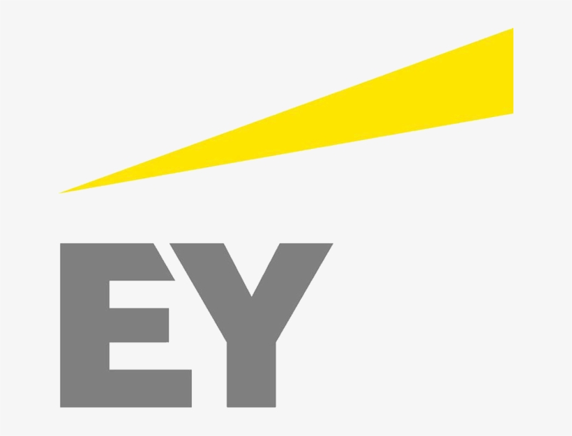 Written By Wouter - Ernst & Young Png, transparent png