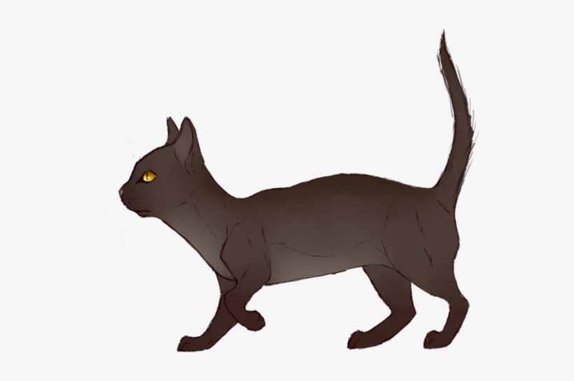 Rattle - Domestic Short-haired Cat, transparent png