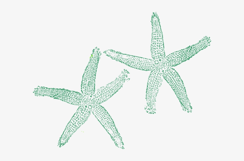 How To Set Use Green Starfish Icon Png - Private Listing For Tami 1 Pair Custom Bridal Flip, transparent png