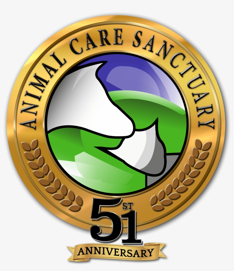 Animal Care Sanctuary - Animal, transparent png