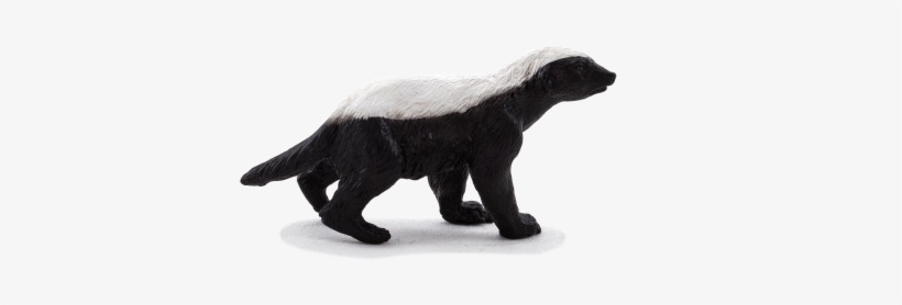 Honey Badger Male - Honey Badger Png, transparent png