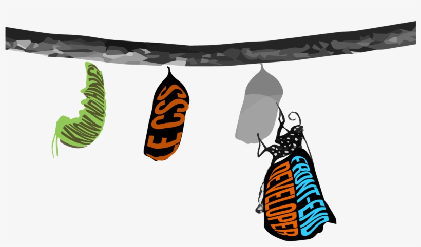 Images/figures/butterfly, transparent png