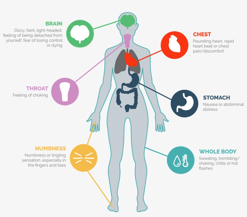 What Are Panic Attacks - Panic Attack Symptoms, transparent png