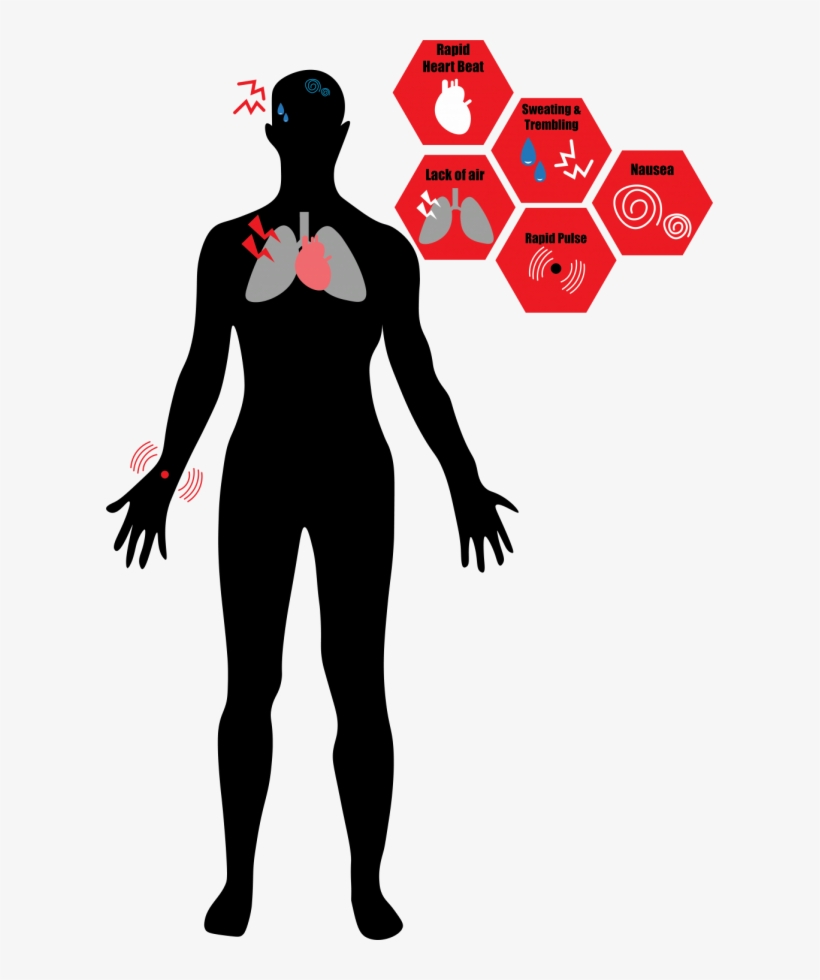 Victoria Williamson %7c The Depaulia - Attacks, transparent png