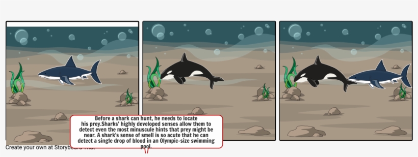Shark Eats Killer Whale, transparent png