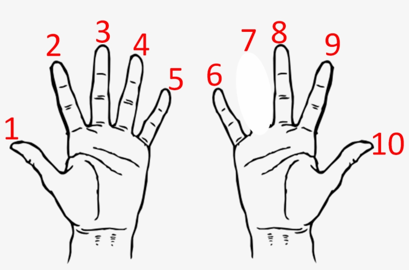 Index Finger In Hindi, transparent png