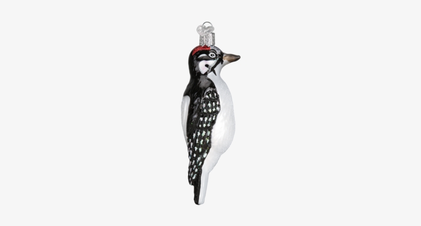 Hanging Hairy Woodpecker Ornament - Downy Woodpecker, transparent png