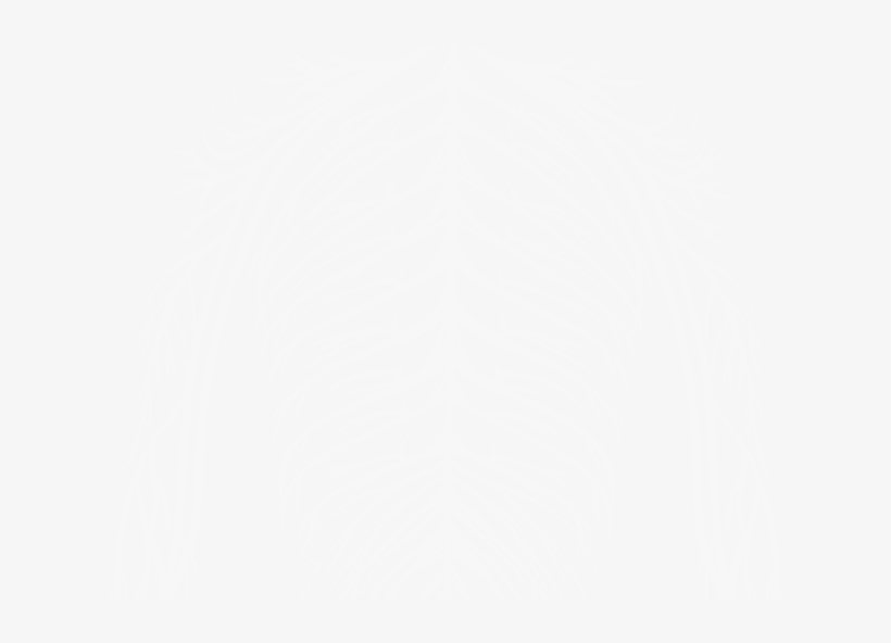 The Next 100 Years - Close Icon Png White, transparent png