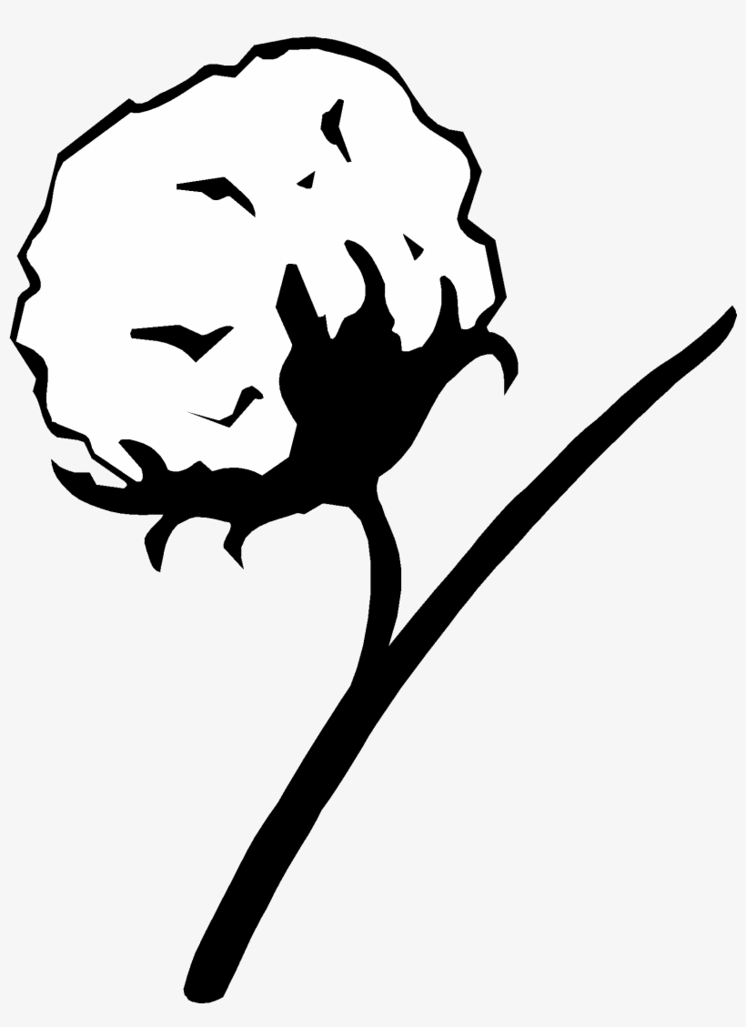 Cotton Plant Drawing, transparent png