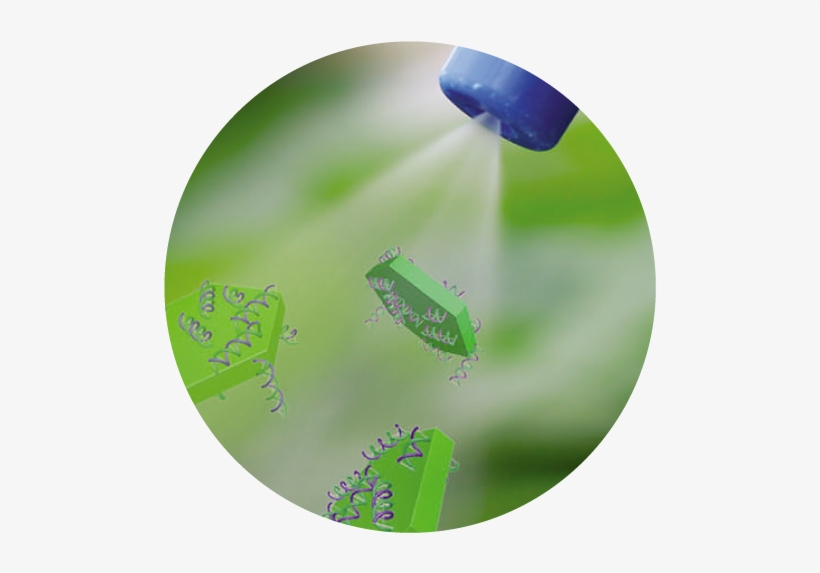 Funded By Hort Innovation And The Cotton Research Development - Fertilizer, transparent png