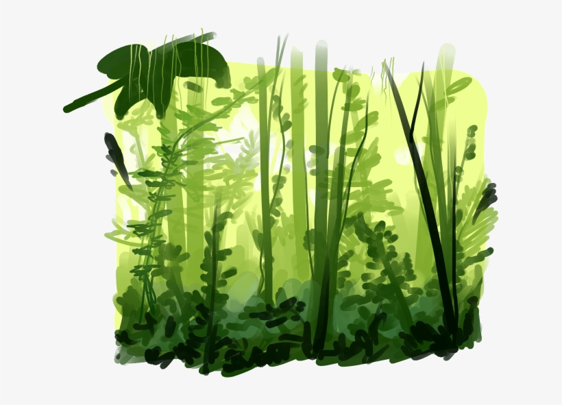 Rainforest Png Pic - Rainforest Animation, transparent png