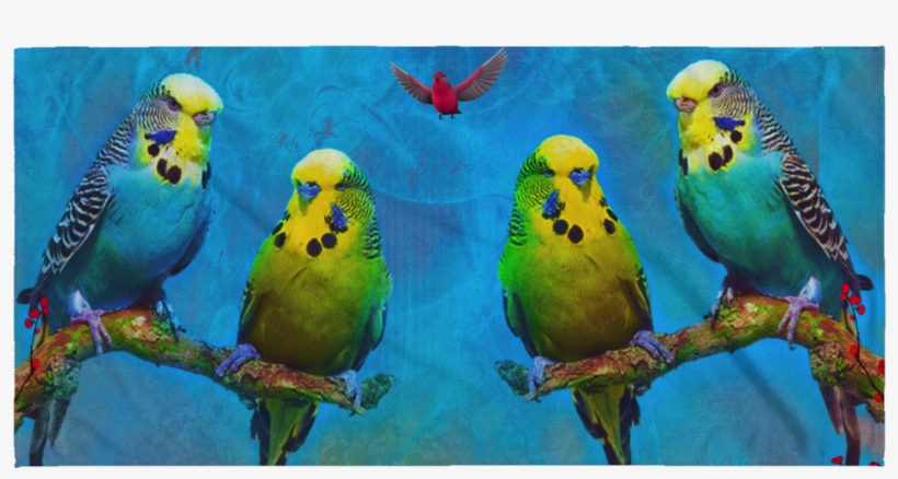Budgie Beach Towel, transparent png