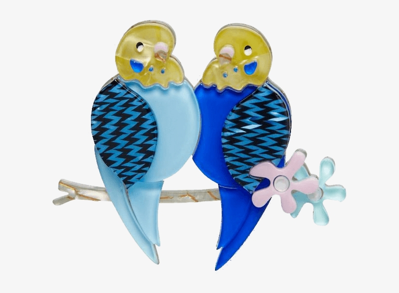 Best Budgies - Erstwilder Best Budgies Brooch, transparent png
