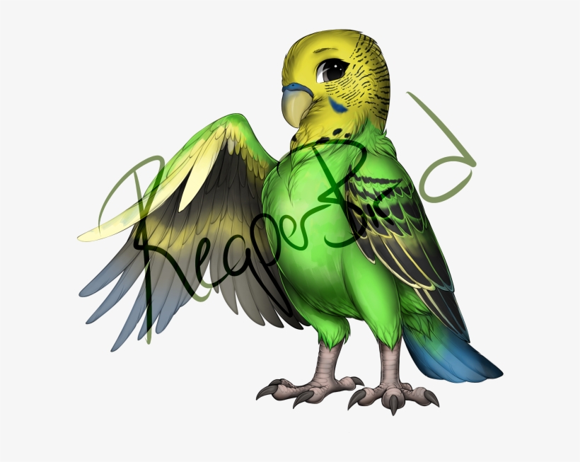 Rqjupbx - Portable Network Graphics, transparent png