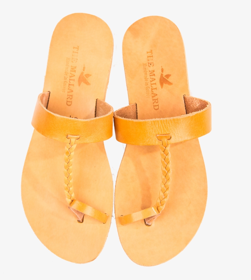 The Aristotle, transparent png