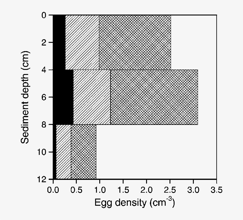 Summary Of Egg Abundance , Viability (hatched) And - Line Art, transparent png